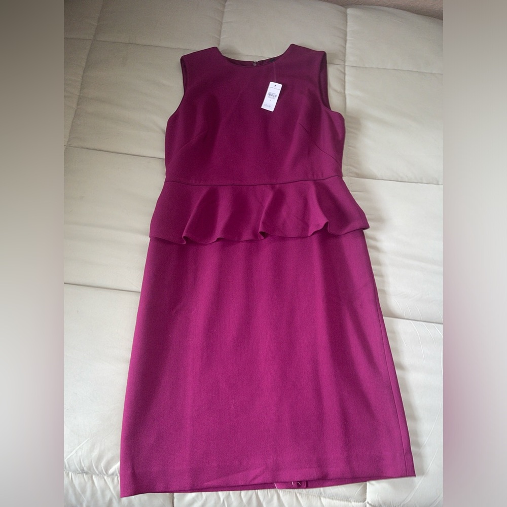 Brand new Ann Taylor dress